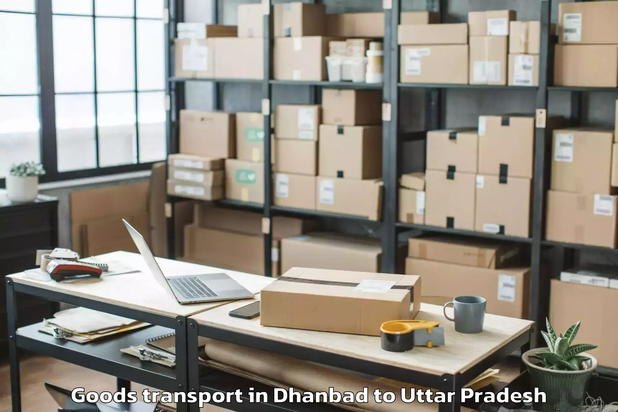 Book Dhanbad to Raya Goods Transport